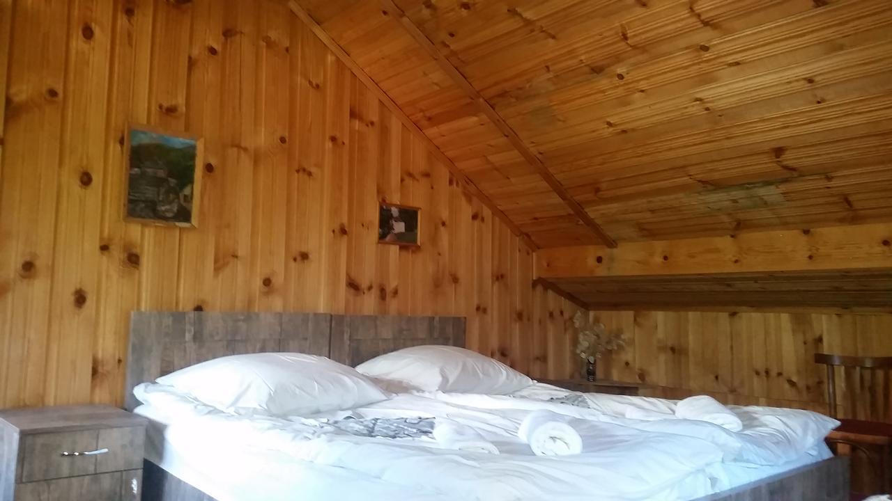 Hotel Lagami House Mestia Pokoj fotografie